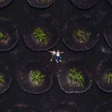 Visit to La Geria and lunch at a local restaurant